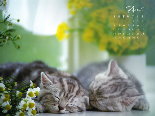 402471 (a): :1600x1200